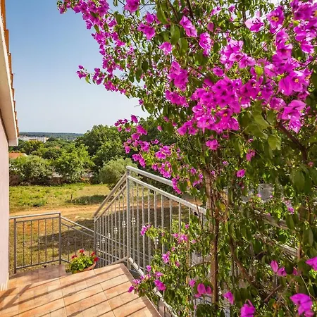 Relaxing House With Spacious Garden *